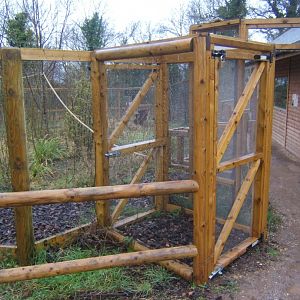 29/1/2017 View of the Lake Alaotra Gentle Lemur exhibit