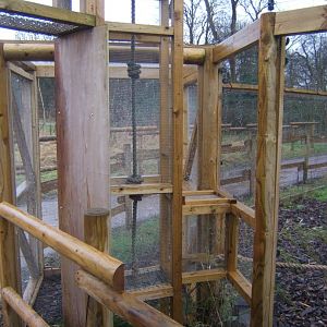 29/1/2017 View of the Lake Alaotra Gentle Lemur exhibit