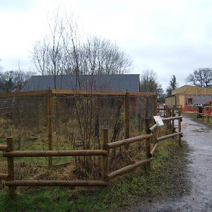 29/1/2017 View of the Lake Alaotra Gentle Lemur exhibit