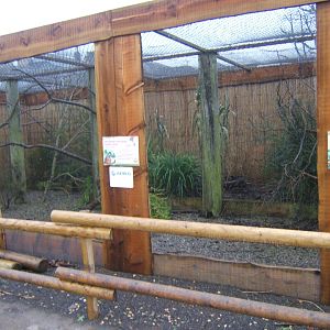 29/1/2017 View of aviary's in walled gardens