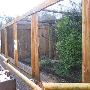 29/1/2017 View of aviary's in walled gardens