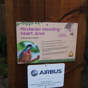 29/1/2017 Signage style