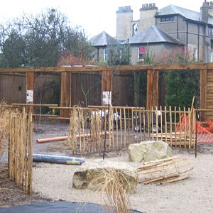 29/1/2017 View of work in walled gardens