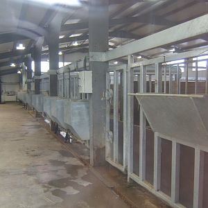 5/2/2017 View of Black Rhino House inside