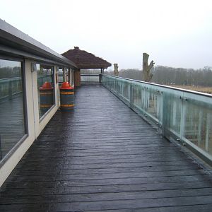 5/2/2017 View of Black Rhino House viewing balcony