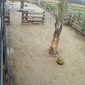 5/2/2017 View of Black Rhino paddocks