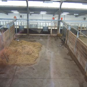 5/2/2017 View of Black Rhino House inside