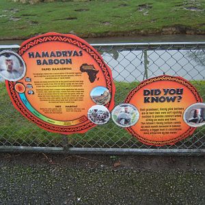 5/2/2017 Signage style