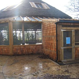 5/2/2017 View of the Lorikeet feeding Aviary