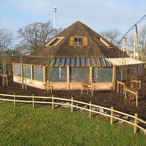 5/2/2017 View of the Lorikeet feeding Aviary