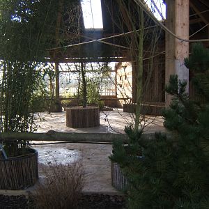 5/2/2017 View of the Lorikeet feeding Aviary