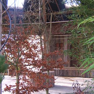 5/2/2017 View of the Lorikeet feeding Aviary