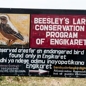 Sign at Lark PLains