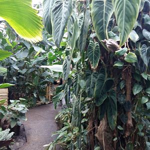 11th Feb 2017 - General view