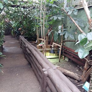 11th Feb 2017 - Tortoise enclosures