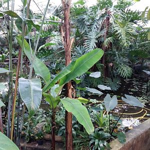 11th Feb 2017 - General view