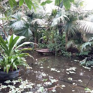 11th Feb 2017 - General view