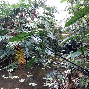 11th Feb 2017 - General view