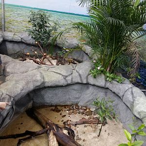 11th Feb 2017 - Fish and Crustacean enclosures