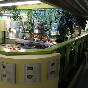 Large Turtle Enclosure