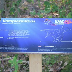 Sign Vampire squid