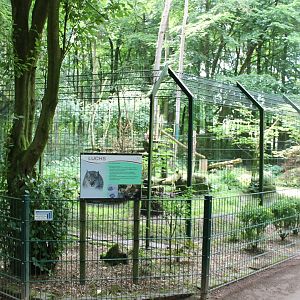 Enclosure European lynx