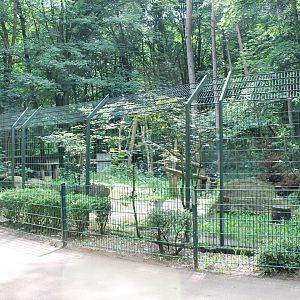 European lynx-enclosure