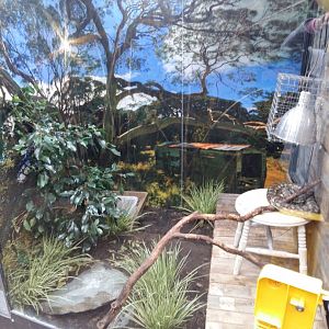 11th Feb 2017 - Snake enclosure