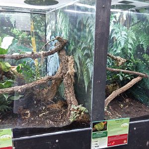11th Feb 2017 - Snake enclosures