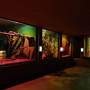 Inside Nocturnal House