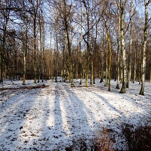Chinese deer enclosure
