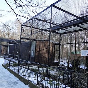 Eagles and owls aviaries
