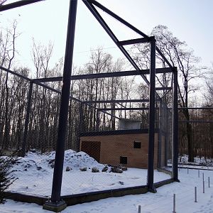 Owls aviaries under construction