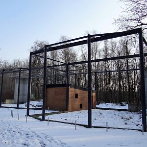 Owls aviaries under construction