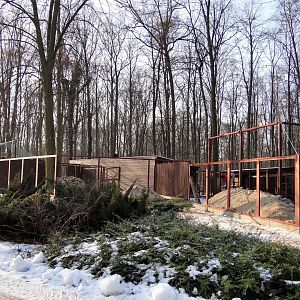 Small cats exhibits under construction