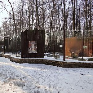 Medium carnivores exhibits