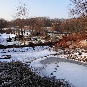 South America enclosure