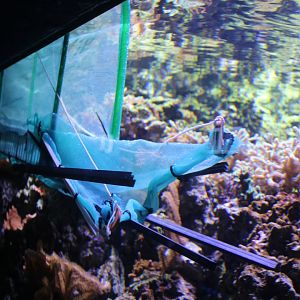 fish apparatus, Chester Zoo 11th February 2017