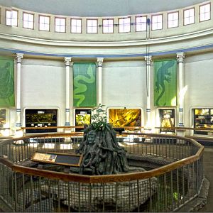 Feb. 2017 - Reptile House Panorama