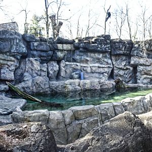 Feb. 2017 - Lords of the Arctic - First Polar Bear Exhibit Panorama