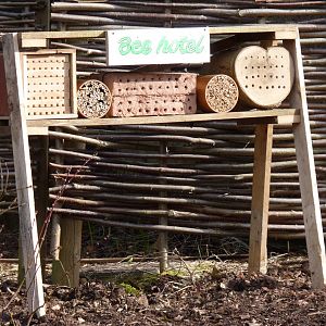 Bee Hotel, February 2017