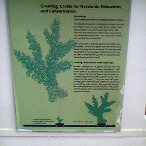 Waikiki Aquarium Coral Farm Sign