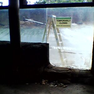 Honolulu Zoo Hippo Exhibit