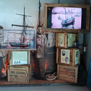 Detroit Zoo - Polk Penguin Conservation Center - East foyer display