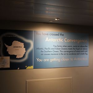 Detroit Zoo - Polk Penguin Conservation Center