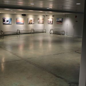 Detroit Zoo - Polk Penguin Conservation Center