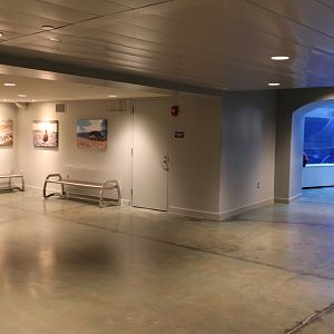 Detroit Zoo - Polk Penguin Conservation Center