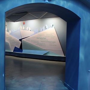 Detroit Zoo - Polk Penguin Conservation Center -