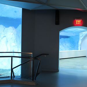 Detroit Zoo - Polk Penguin Conservation Center