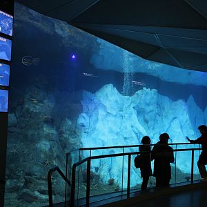 Detroit Zoo - Polk Penguin Conservation Center -